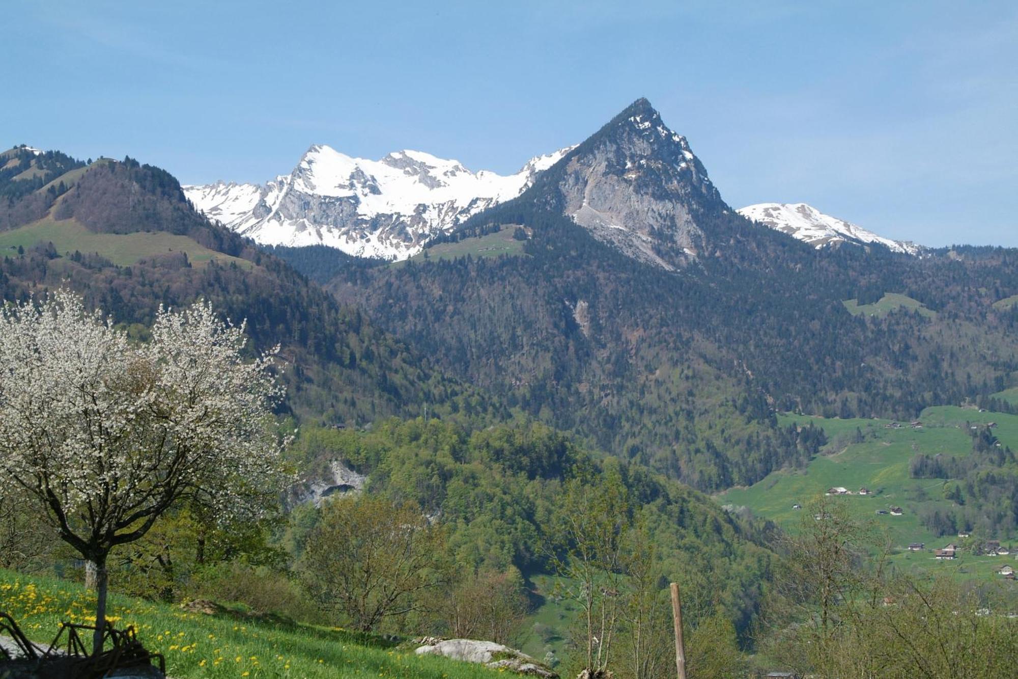 Landgasthof Grossteil Giswil Kültér fotó