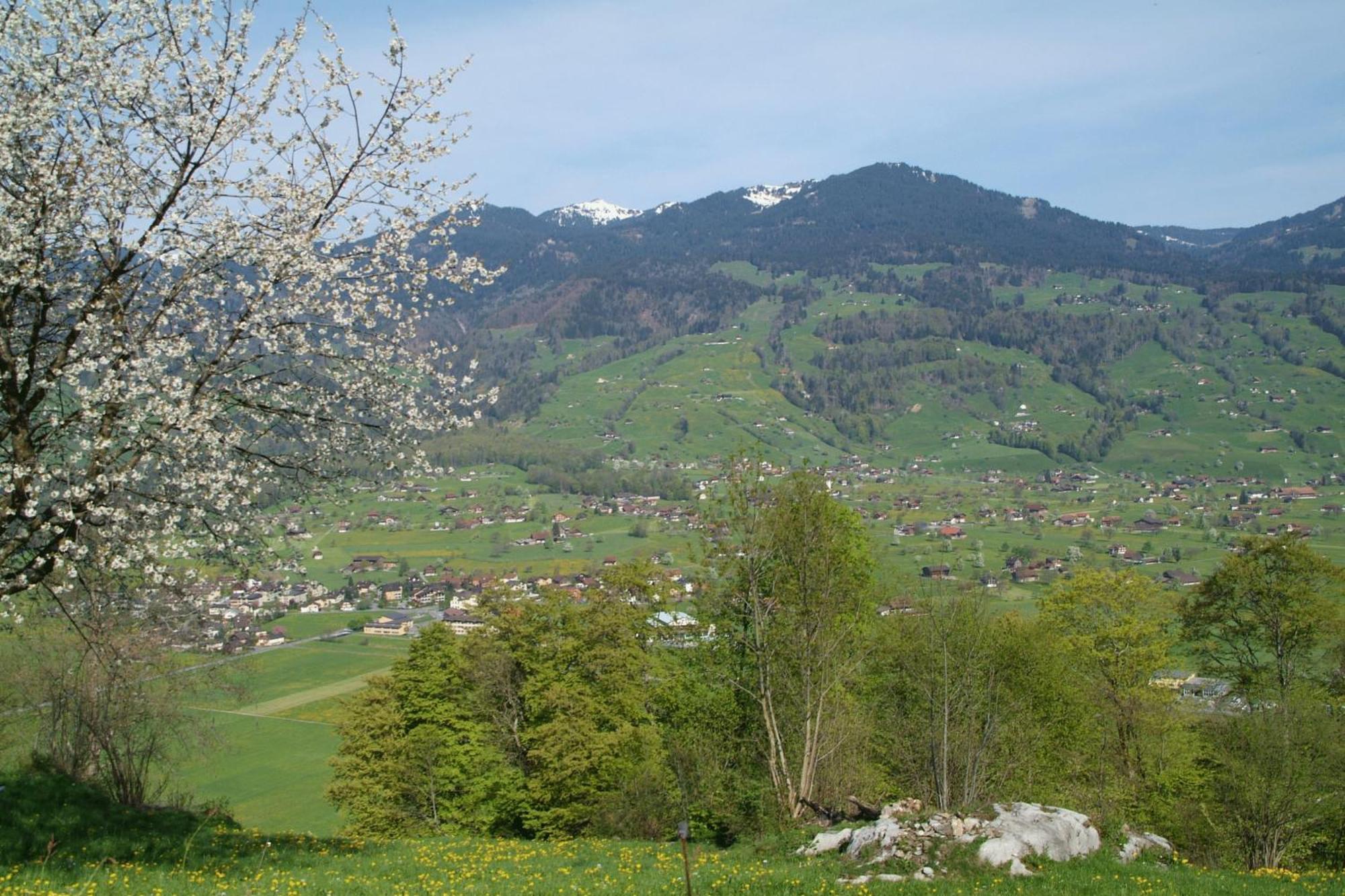 Landgasthof Grossteil Giswil Kültér fotó