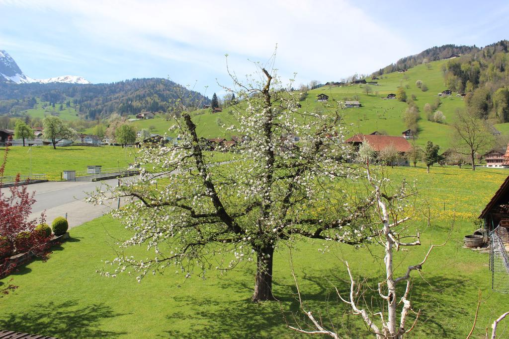 Landgasthof Grossteil Giswil Kültér fotó