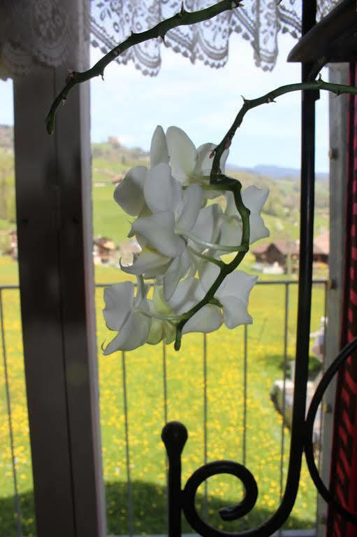 Landgasthof Grossteil Giswil Kültér fotó